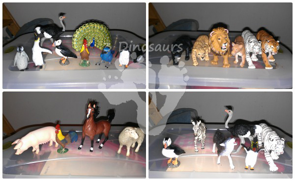 Exploring Shadow Puppets - Laura Numeroff - Making fun shadows with animal figures u dark rooms for kids to see the shadows - 3Dinosaurs.com