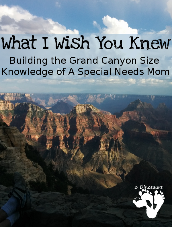 What I Wish You Knew: Building the Grand Knowledge of A Special Needs Mom - 3Dinosaurs.com