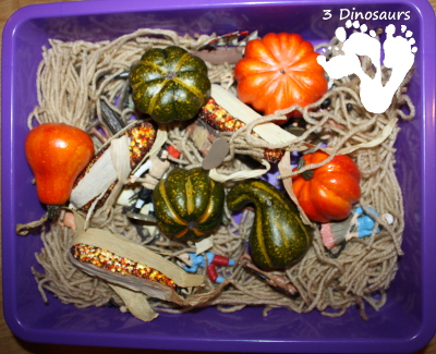 Thanksgiving Sensory Bin - Squanto's Journey - 3Dinosaurs.com