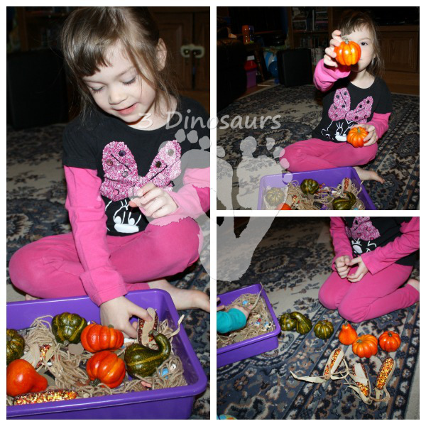 Thanksgiving Sensory Bin - Squanto's Journey - 3Dinosaurs.com