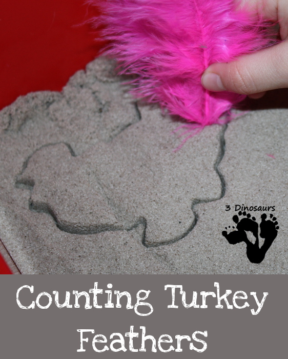 Counting Turkey Feathers - 3Dinosaurs.com