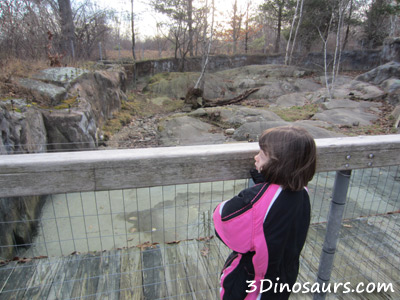 Ecotarium in December