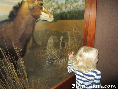 Ecotarium in December