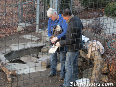 Ecotarium in December