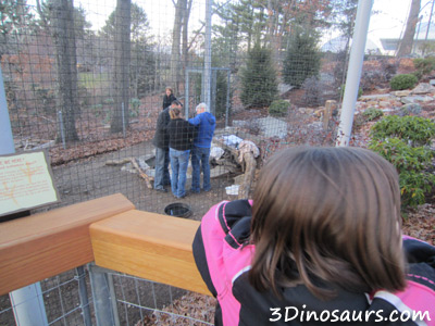 Ecotarium in December