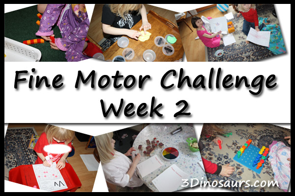 Fine Motor Challenge Week 2