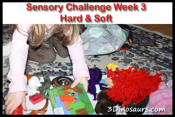 Sensory Challenge Week 3: Sorting Hard & Soft