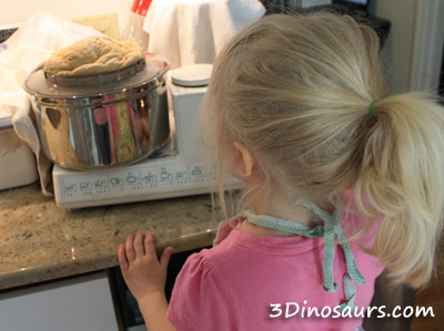 Little Red Hen and Making Bread - 3Dinsoaurs.com