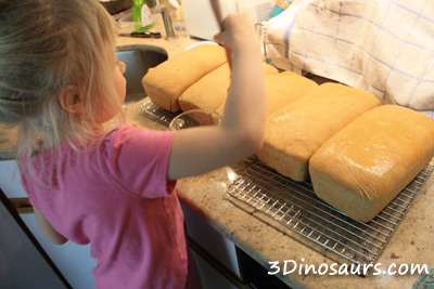 Little Red Hen and Making Bread - 3Dinsoaurs.com