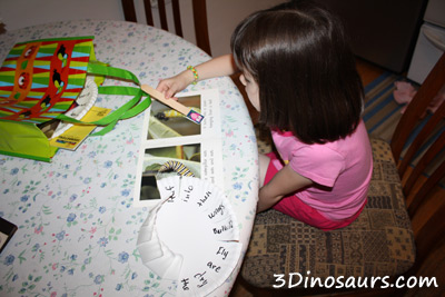 Early Reader Paper Plate