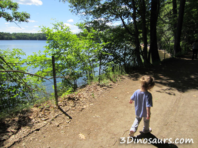 Walden Pond