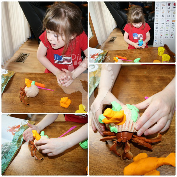 Playdough House for Hermit Crab - 3Dinosaurs.com