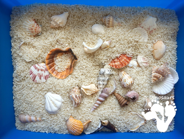 Easy Sensory Play: Shell and Rice Sensory Bin - a simple and easy bin that kids can have fun playing in. - 3Dinosaurs.com