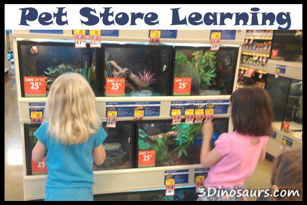 Pet Store Learning