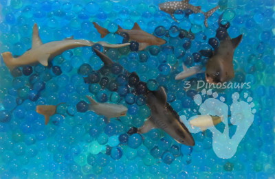 Shark Water Bead Sensory Bin - 3Dinosaurs.com