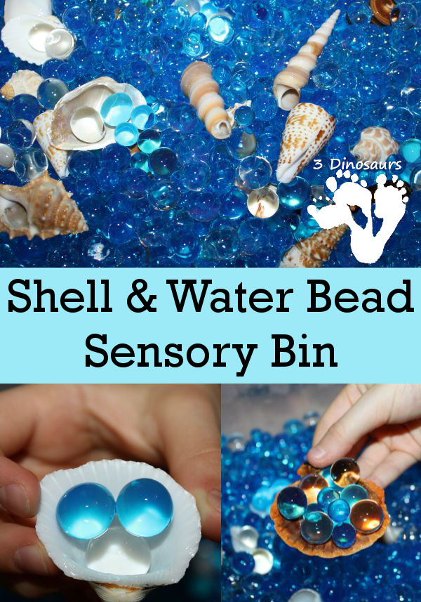 Shell and Water Sensory Bin - 3Dinosaurs.com