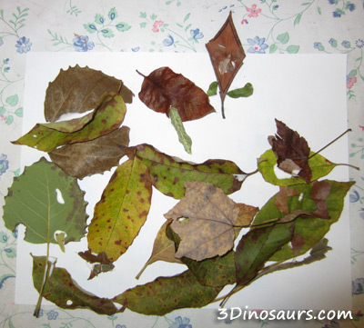 Leaf Art