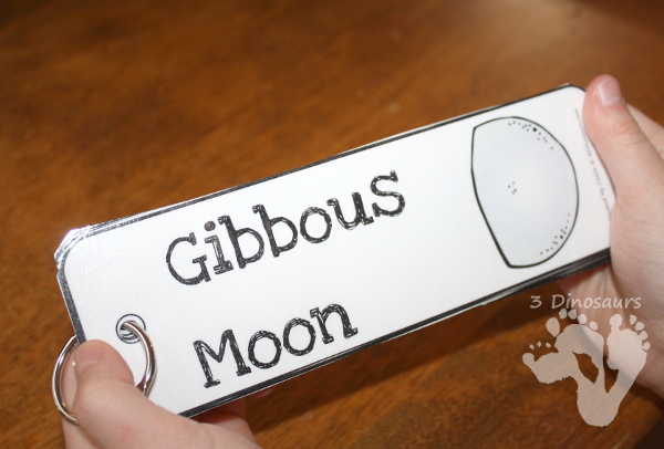 Free Phases of the Moon Bookmarks with an observation journal kids can fill out - options for both hemispheres - 3Dinosaurs.com
