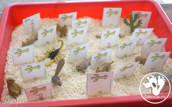 Free Wild West Sorting Nouns & Verbs - with Ghost Town at Sundown - a picture of the sensory bin with the noun and verb cards with the desert toob - 3Dinosaurs.com