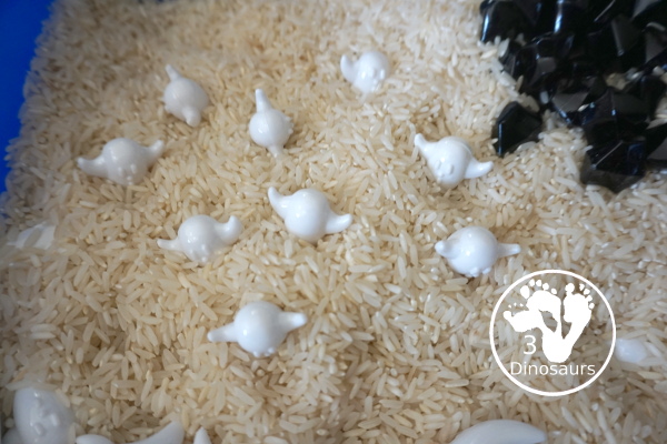 Ghost Sensory Bin - a simple ghost sensory bin with ghost, black rocks and a rice filler for this simple Halloween Sensory bin- 3Dinosaurs.com