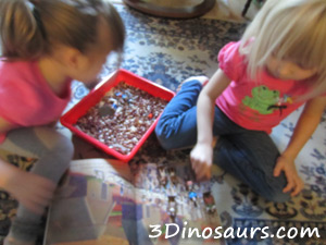 Thanksgiving Sensory Bin