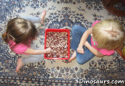 Thanksgiving Sensory Bin