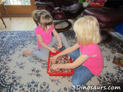 Thanksgiving Sensory Bin