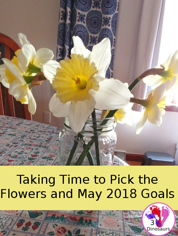 Taking Time to Pick the Flowers and May 2018 Goals - 3Dinosaurs.com