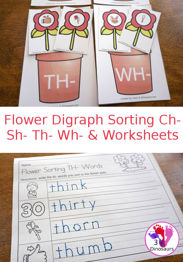 Free Flower Digraph Sorting & Worksheets - 4 beginning digraphs ch, sh, th, wh with worksheets for writing words or tracing words - 3Dinosaurs.com