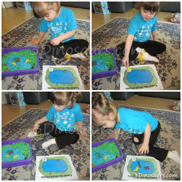 Pond Sensory Bin