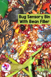 Bug Sensory Bin with Bean Filler