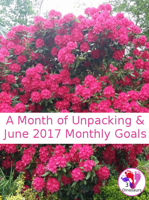 June Monthly Goals - blog, family and personal goals for June 2017 - 3Dinosaurs.com