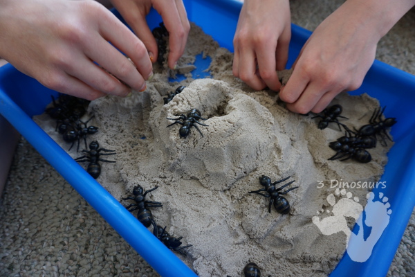 Fun Sensory Play in an Ant & Kinetic Sand Sensory Bin - an easy to set up and play in sensory bin for kids with an ant theme - 3Dinosaurs.com