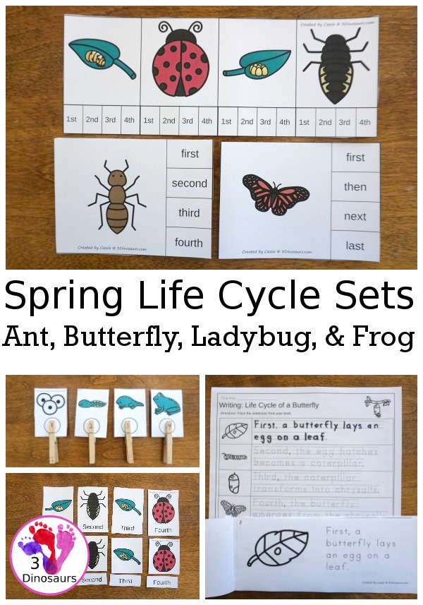 Spring Life Cycle Sequencing Sets: Ant, Butterfly, Frog and Ladybug - 4 new sequencing sets: Life Cycle of a Frog, Life Cycle of a Butterfly, Life Cycle of a Ladybug, and Life Cycle of an Ant . They have clip cards, task cards, no-prep worksheets and easy reader books $ - 3Dinosaurs.com #printablesforkids #sequencingforkids #lifecycle #springprintables #tpt #teacherspayteachers