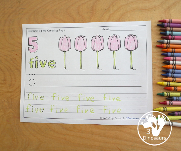 No-Prep Flower Number Color and Trace - easy no-prep printables with a fun flower theme 44 pages with two options for the numbers tracing or writing $ - 3Dinosaurs.com #noprepprintable  #numbersforkids