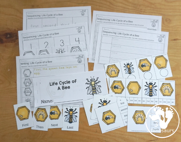 Life Cycle of a Bee Sequencing - with writing, reading, order of event cards, clip cards, cut and paste and more. The sequencing has four steps - 3Dinosaurs.com