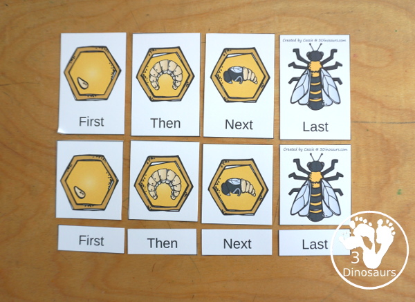 Life Cycle of a Bee Sequencing - with writing, reading, order of event cards, clip cards, cut and paste and more. The sequencing has four steps - 3Dinosaurs.com