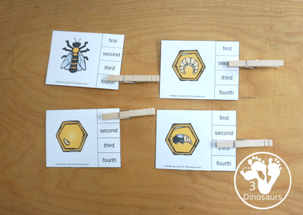 Life Cycle of a Bee Sequencing - with writing, reading, order of event cards, clip cards, cut and paste and more. The sequencing has four steps - 3Dinosaurs.com