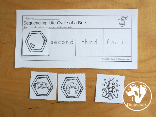 Life Cycle of a Bee Sequencing - with writing, reading, order of event cards, clip cards, cut and paste and more. The sequencing has four steps - 3Dinosaurs.com