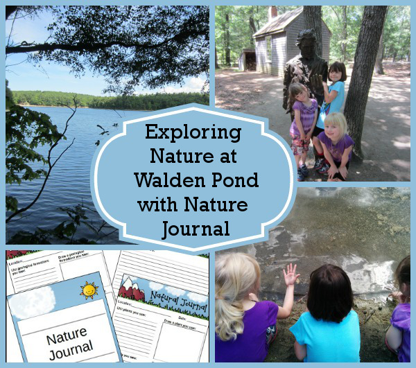 Exploring Nature at Walden Pond - Free Nature Journal- 3Dinosaurs.com