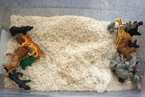 Zoo Theme Rice Sensory Bin - an easy to put together sensory bin that kids can use.  - 3Dinosaurs.com 