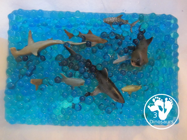 Shark Water Bead Sensory Bin - s fun sensory play for kids learning about shark. This is a great shark week sensory bin that kids can use - 3Dinosaurs.com