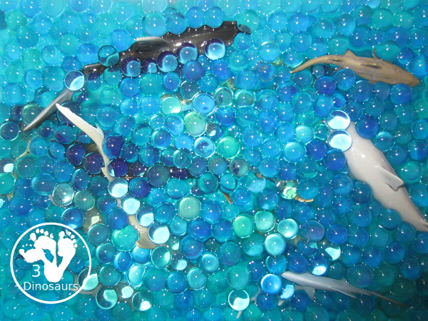 Shark Water Bead Sensory Bin - s fun sensory play for kids learning about shark. This is a great shark week sensory bin that kids can use - 3Dinosaurs.com