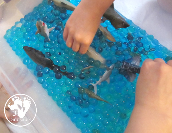 Shark Water Bead Sensory Bin - s fun sensory play for kids learning about shark. This is a great shark week sensory bin that kids can use - 3Dinosaurs.com