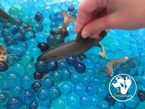 Shark Water Bead Sensory Bin - s fun sensory play for kids learning about shark. This is a great shark week sensory bin that kids can use - 3Dinosaurs.com