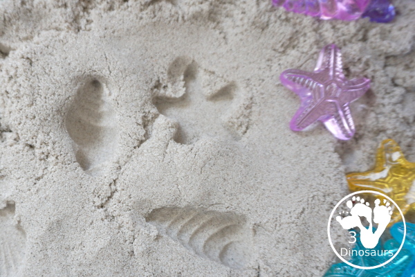 Beach Kinetic Sand & Shell Sensory Bin - for an easy to set up sensory play that kids can do any time of the year and work great for a beach theme day - 3Dinosaurs.com