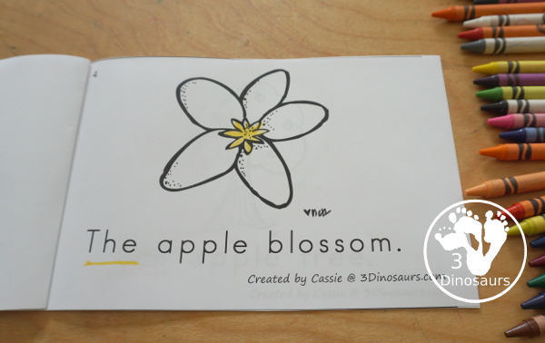 Free Apple Easy Reader Book - a fun 8 page book with different apple themes in the book with a sight word the focus with the apple themes - 3Dinosaurs.com