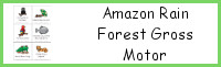 Amazon Rain Forest Gross Motor Cards