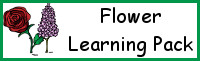 Flower Learning Pack