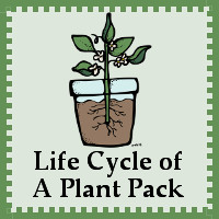 Free Life cycle of a Plant Pack - 3Dinosaurs.com